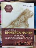 Анатомия виньяса-флоу и асан, выполняемых стоя