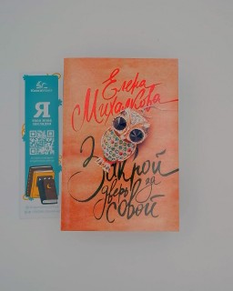 Закрой дверь за совой