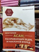 Анатомия асан, раскрывающих бедра, и наклонов вперед