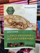 Анатомия прогибаний и скручиваний