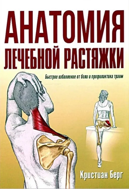 Анатомия лечебной растяжки. Быстрое избавление от боли и профилактика травм