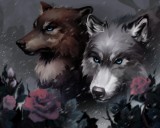 Королівство плоті й вогню. Книга 2 (Подарункове видання)