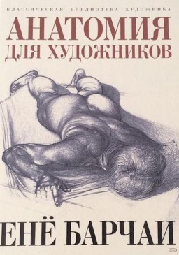 Анатомия для художников