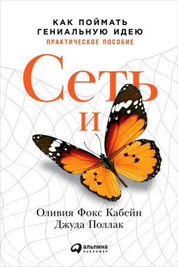 Сеть и бабочка