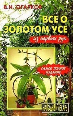 Все о золотом усе из первых рук