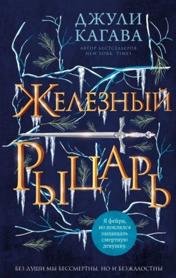 Железный рыцарь. Книга 4