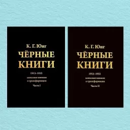 Чёрные книги. 1913-1932. Записные книжки о транформации (комплект из 2-х книг) Чёрные книги. 1913-1932. Записные книжки о транформации (комплект из 2-х книг)