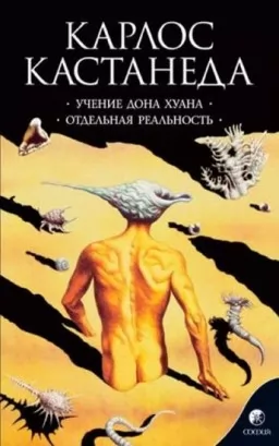 Карлос Кастанеда. Учение дона Хуана. Отдельная реальность Карлос Кастанеда. Учение дона Хуана. Отдельная реальность